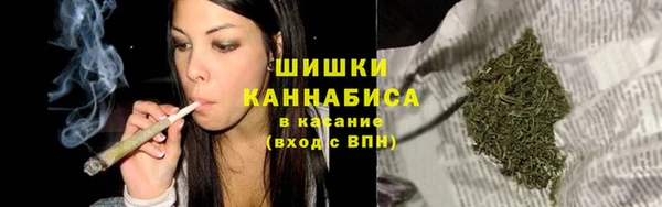 ГАЛЛЮЦИНОГЕННЫЕ ГРИБЫ Алзамай