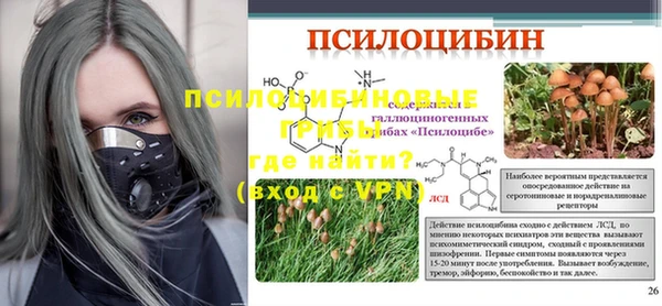 ПСИЛОЦИБИНОВЫЕ ГРИБЫ Алексин