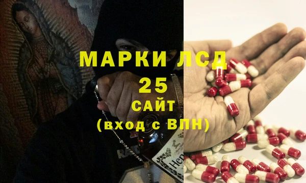 ПСИЛОЦИБИНОВЫЕ ГРИБЫ Алексин