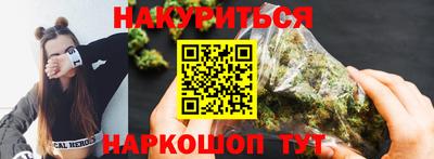 гидра Заводоуковск