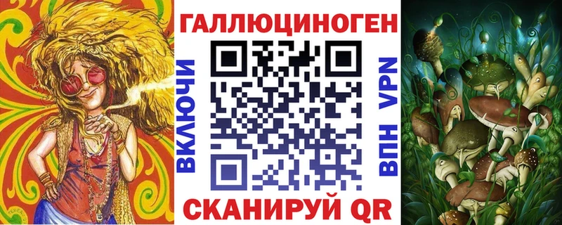 Псилоцибиновые грибы Cubensis  Минусинск 