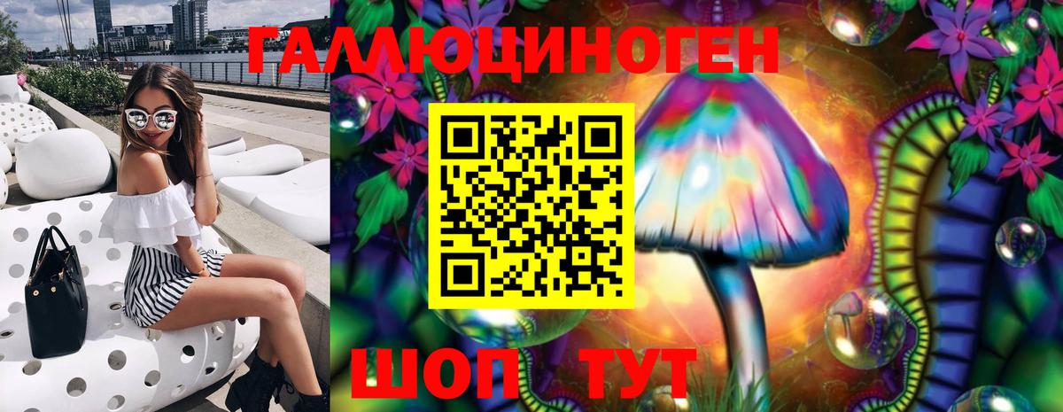 Минусинск  где купить наркоту  Вход с VPN  Галлюциногенные грибы Psilocybe 